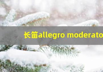 长笛allegro moderato